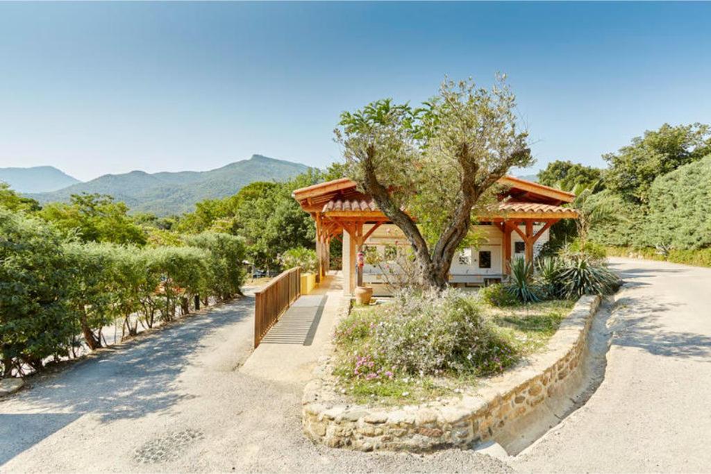 Camping Laroque Des Alberes Habitación foto
